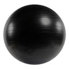 Versa Ball PRO Stability Ball - SHOP LVAC